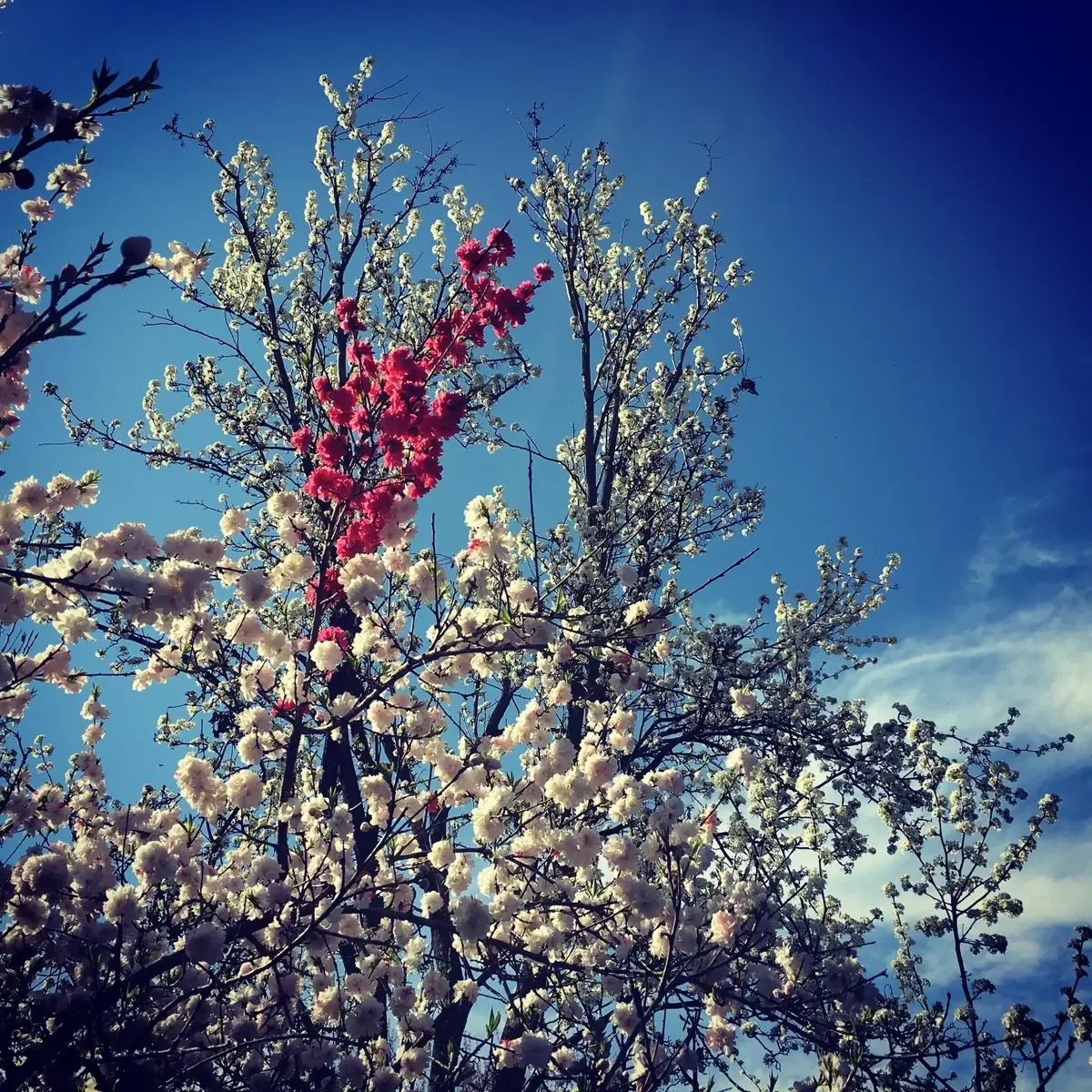 Spring cleaning for your smile